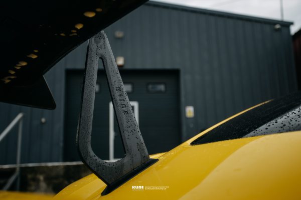 PORSCHE 718 GT4 LM CARBON WING - 图片 6